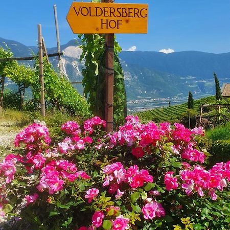 Voldersberghof Apartment Cortaccia Exterior photo